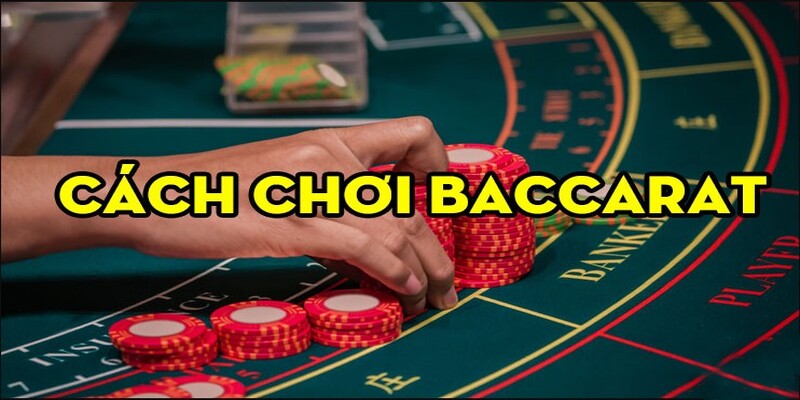 Hướng dẫn cách chơi baccarat cơ bản